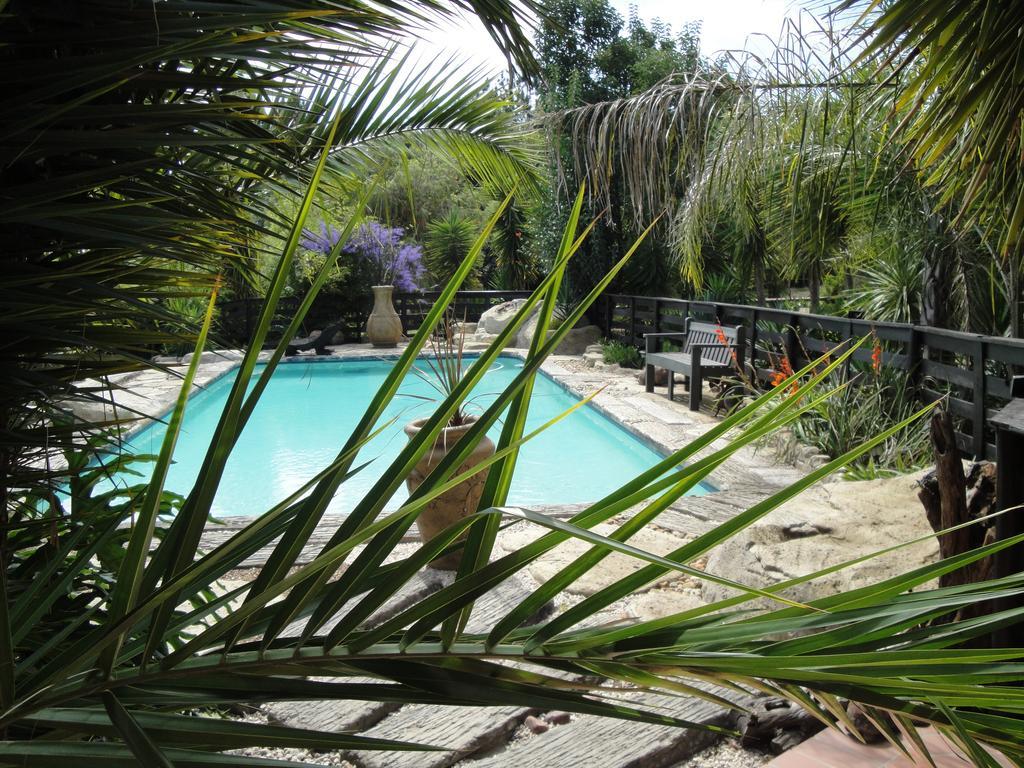Pine Tree Lodge Midrand Εξωτερικό φωτογραφία