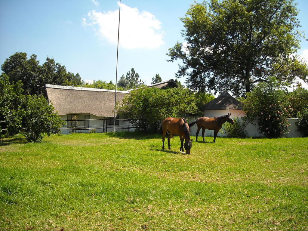 Pine Tree Lodge Midrand Εξωτερικό φωτογραφία