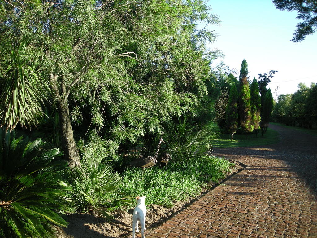 Pine Tree Lodge Midrand Εξωτερικό φωτογραφία