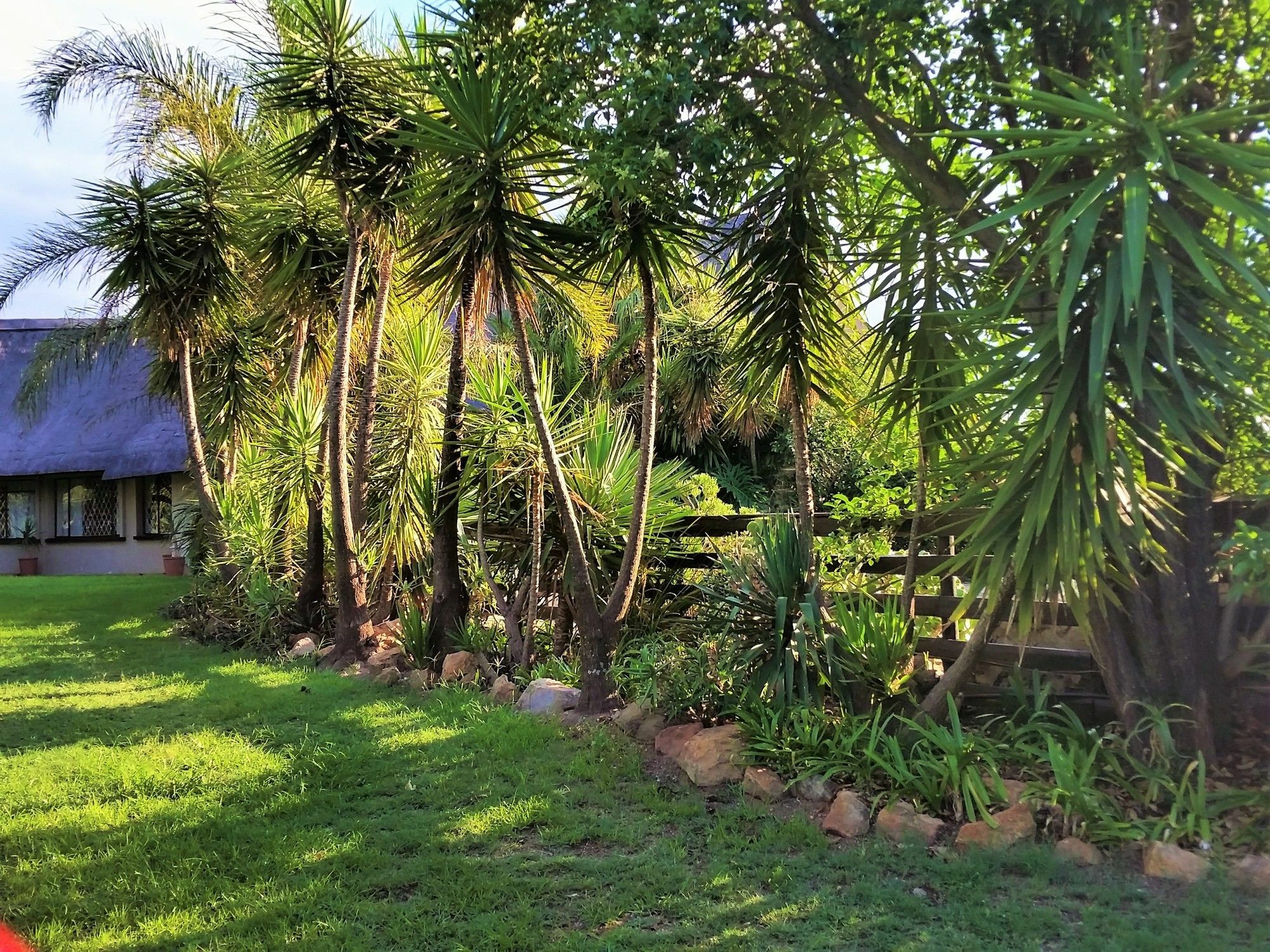 Pine Tree Lodge Midrand Εξωτερικό φωτογραφία